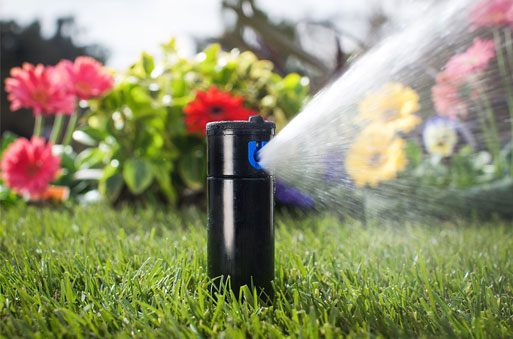 Prensiplerimiz ve Değerlerimiz