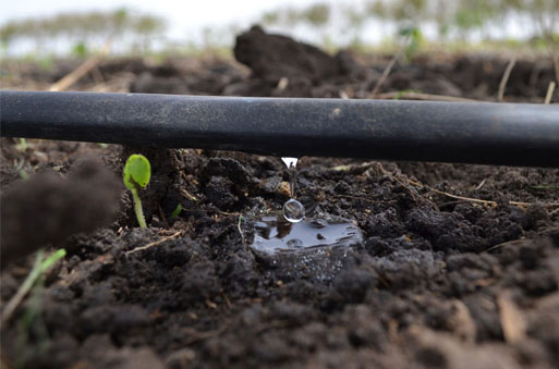 Damlama, Damla Sulama